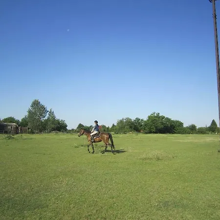 Camping Nyirfaliget Lovaskemping Es Turistahaz Nyíregyháza