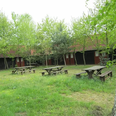 Nyirfaliget Lovaskemping Es Turistahaz * Nyíregyháza