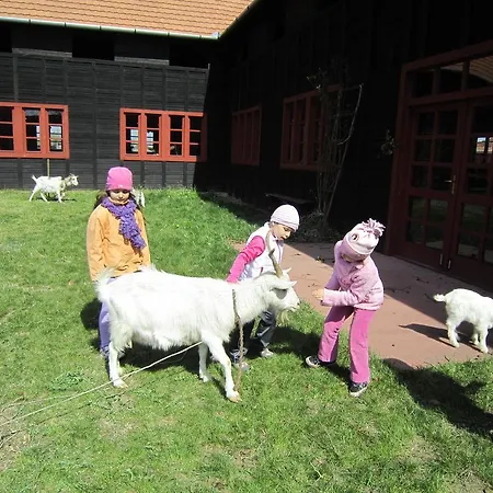 Kemping Sóstói Lovaskemping és Turistaház