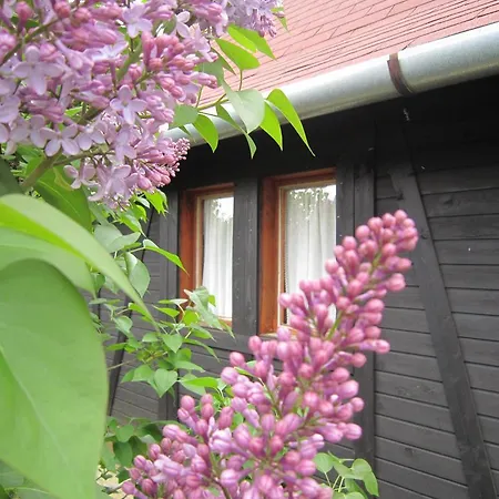 Nyirfaliget Lovaskemping Es Turistahaz Camping