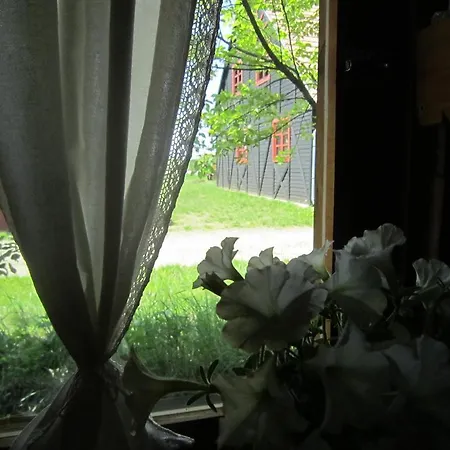 Nyirfaliget Lovaskemping Es Turistahaz Camping Nyíregyháza