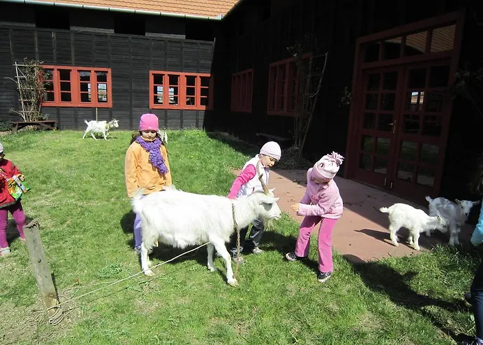 אתר קמפינג Nyirfaliget Lovaskemping Es Turistahaz