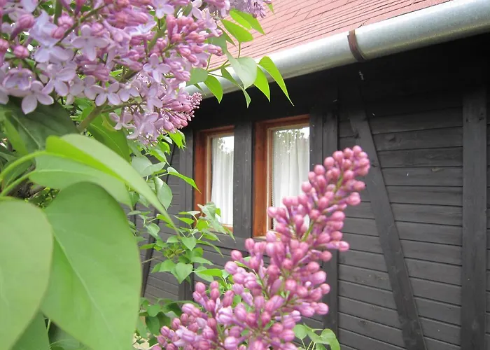 Nyirfaliget Lovaskemping Es Turistahaz אתר קמפינג