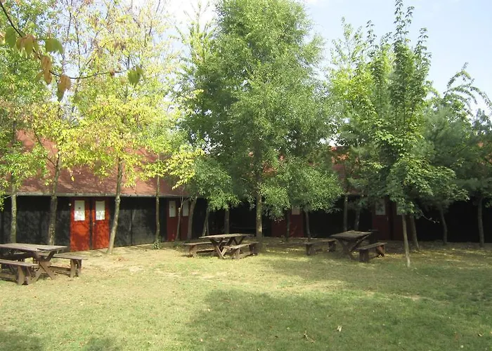 אתר קמפינג Nyirfaliget Lovaskemping Es Turistahaz *